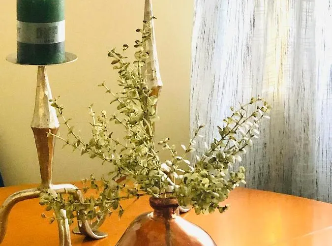 Casa Da Varzea-casa Relaxante Com Piscina Partilhada Дом отдыха *